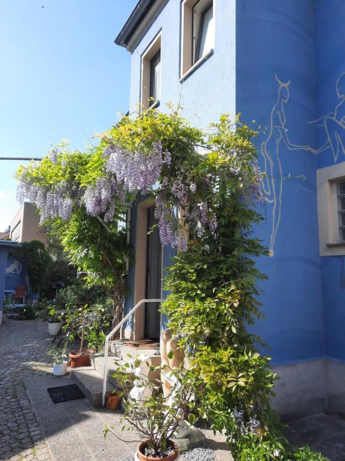 Kunstoase Am Blauen Haus Lägenhet Dresden Exteriör bild